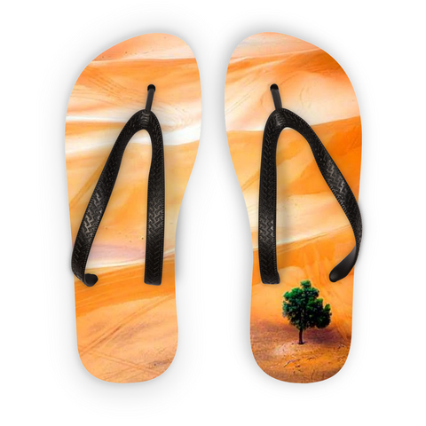 Flip Flops