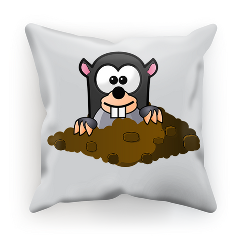 Cushion